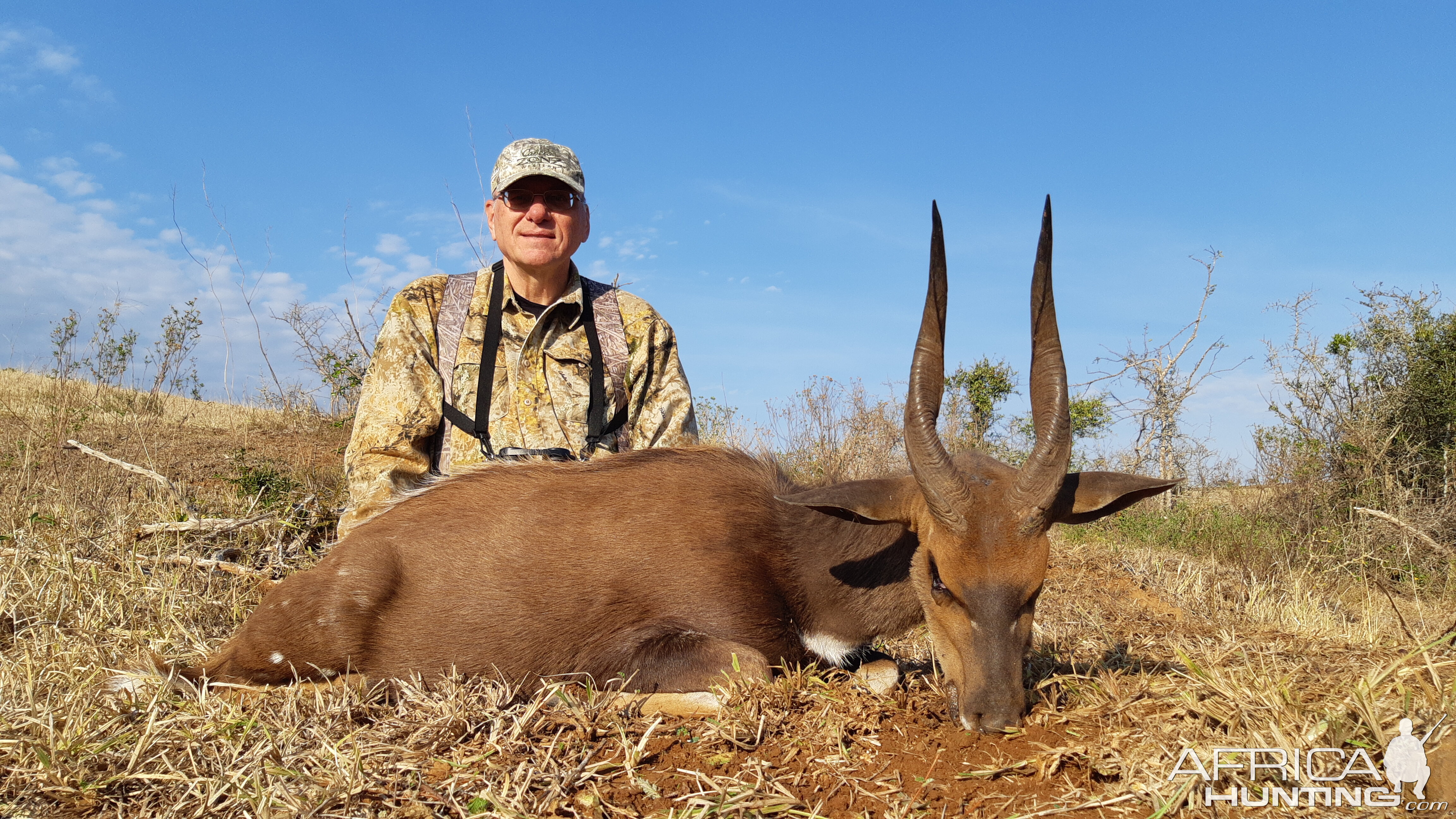 South Africa Hunting Bushbuck