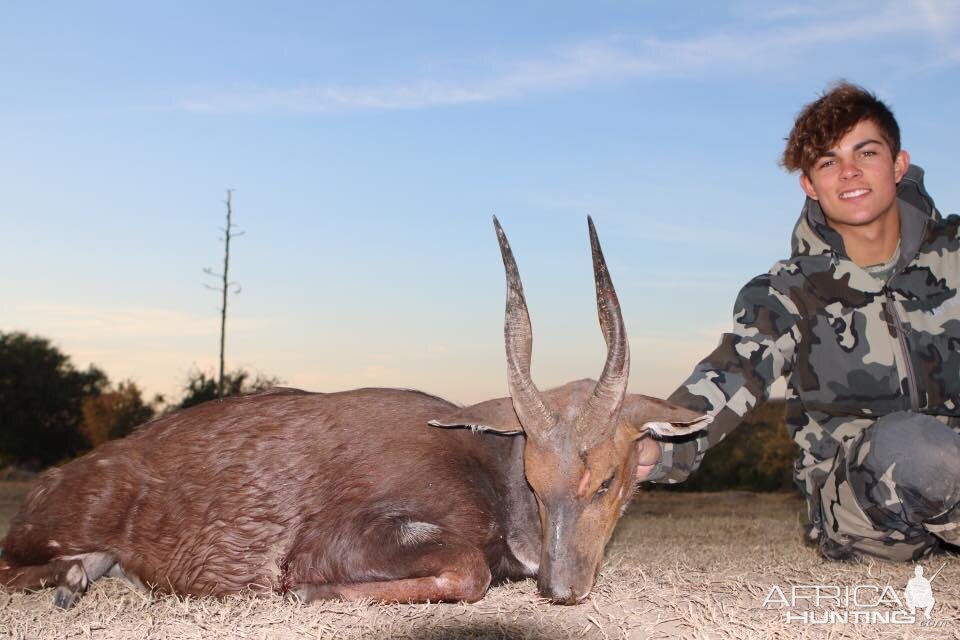 South Africa Hunting Bushbuck