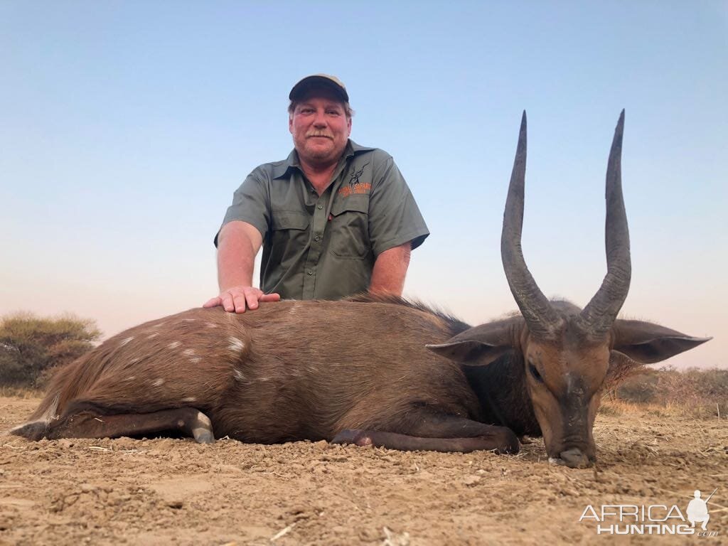 South Africa Hunting Bushbuck