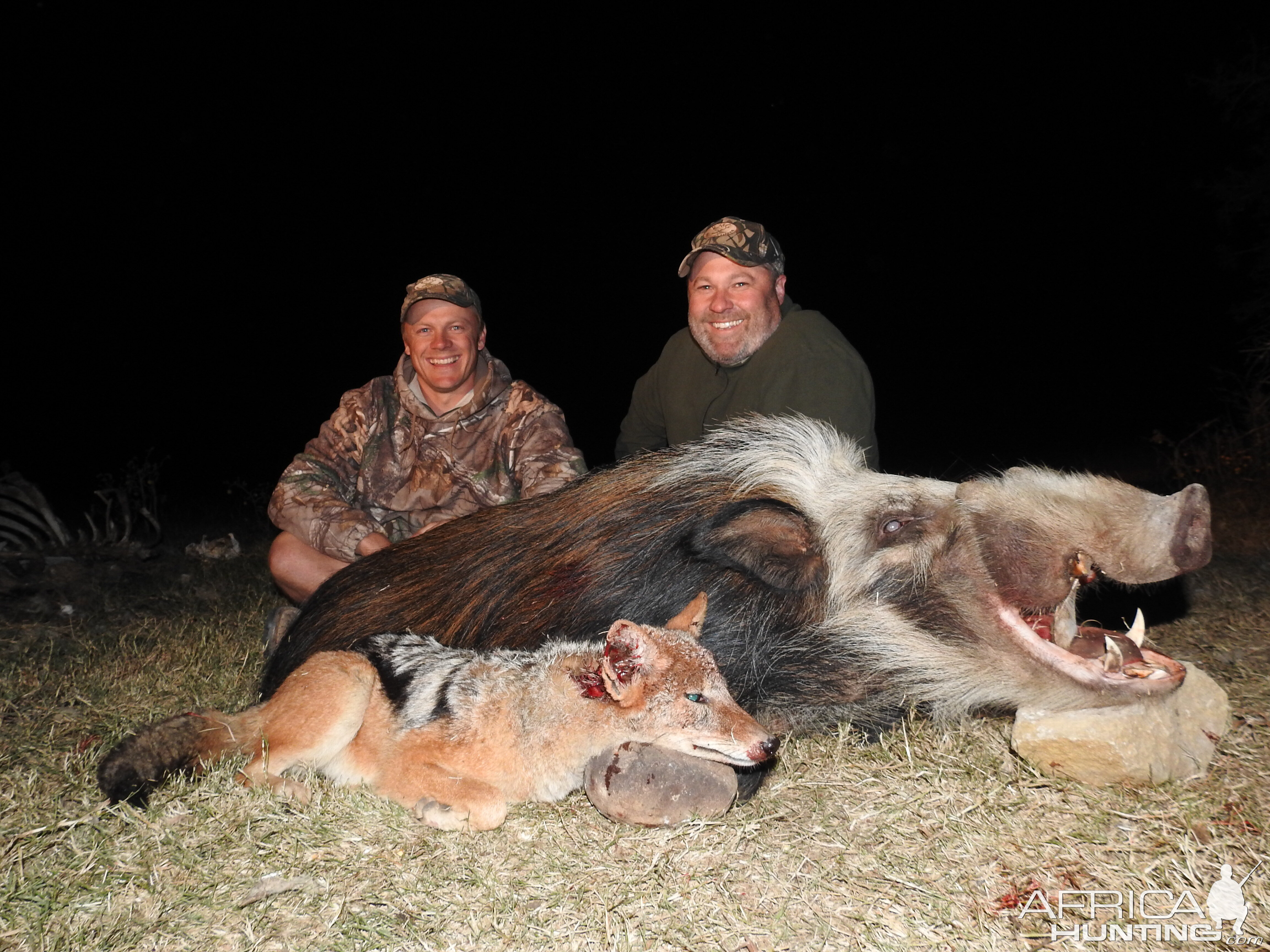 South Africa Hunting Bushpig & Jackal