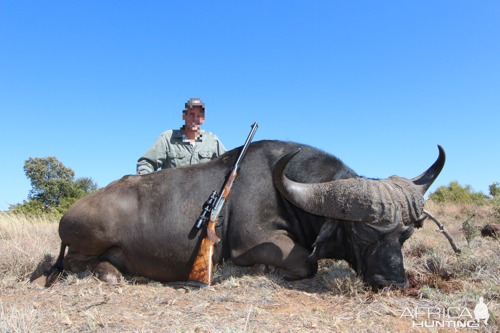 South Africa Hunting Cape Buffalo