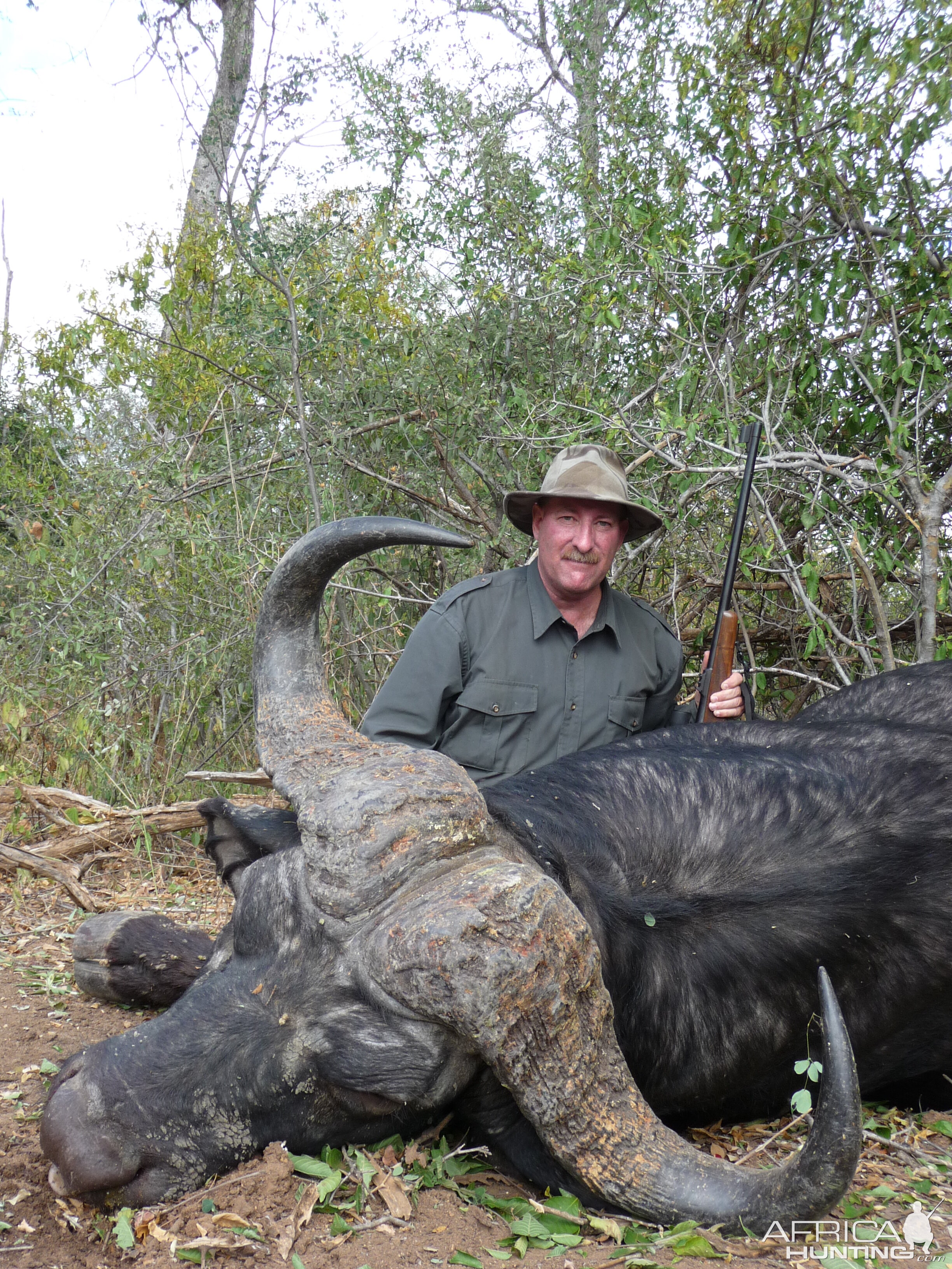 South Africa Hunting Cape Buffalo