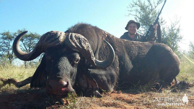 South Africa Hunting Cape Buffalo