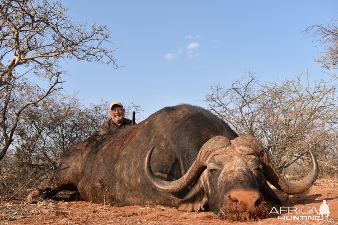 South Africa Hunting Cape Buffalo