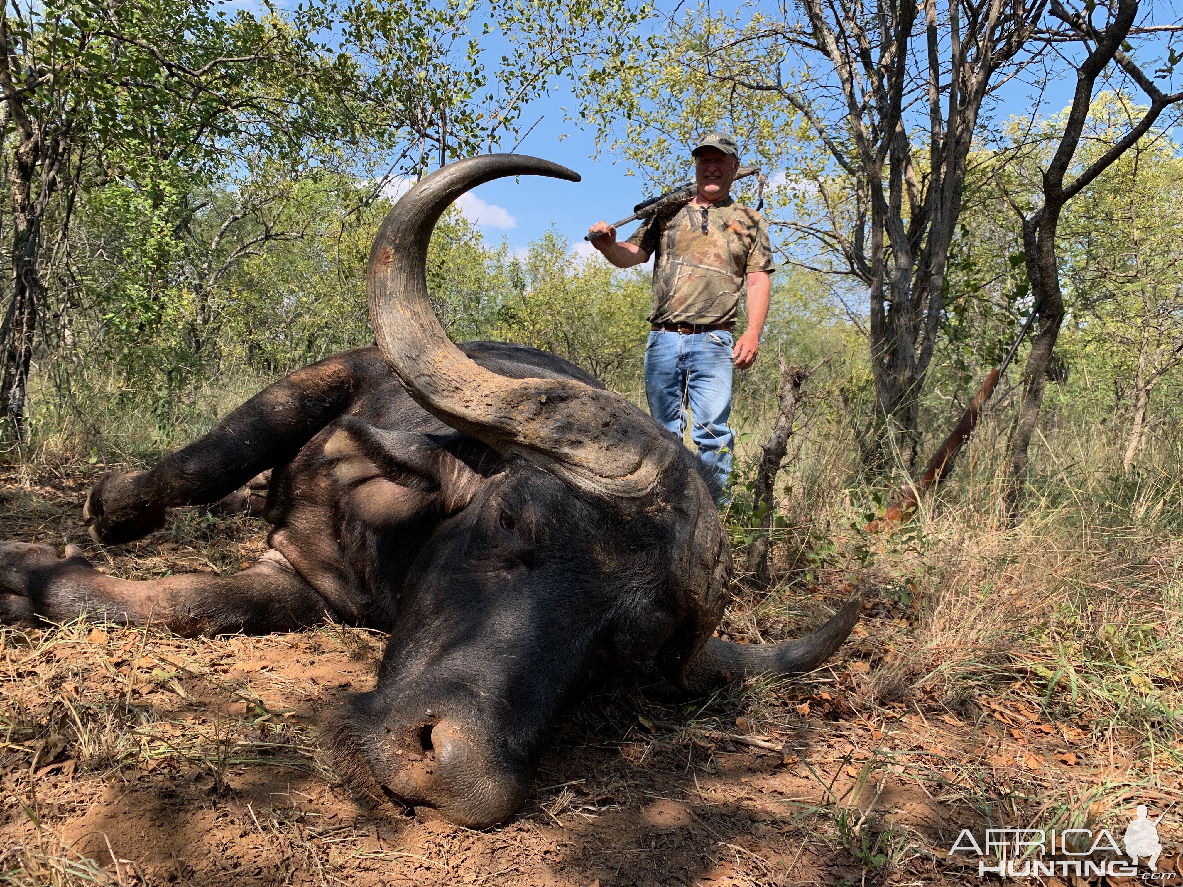 South Africa Hunting Cape Buffalo