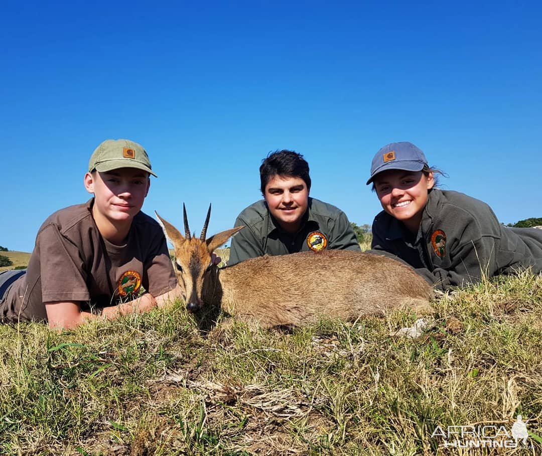 South Africa Hunting Duiker