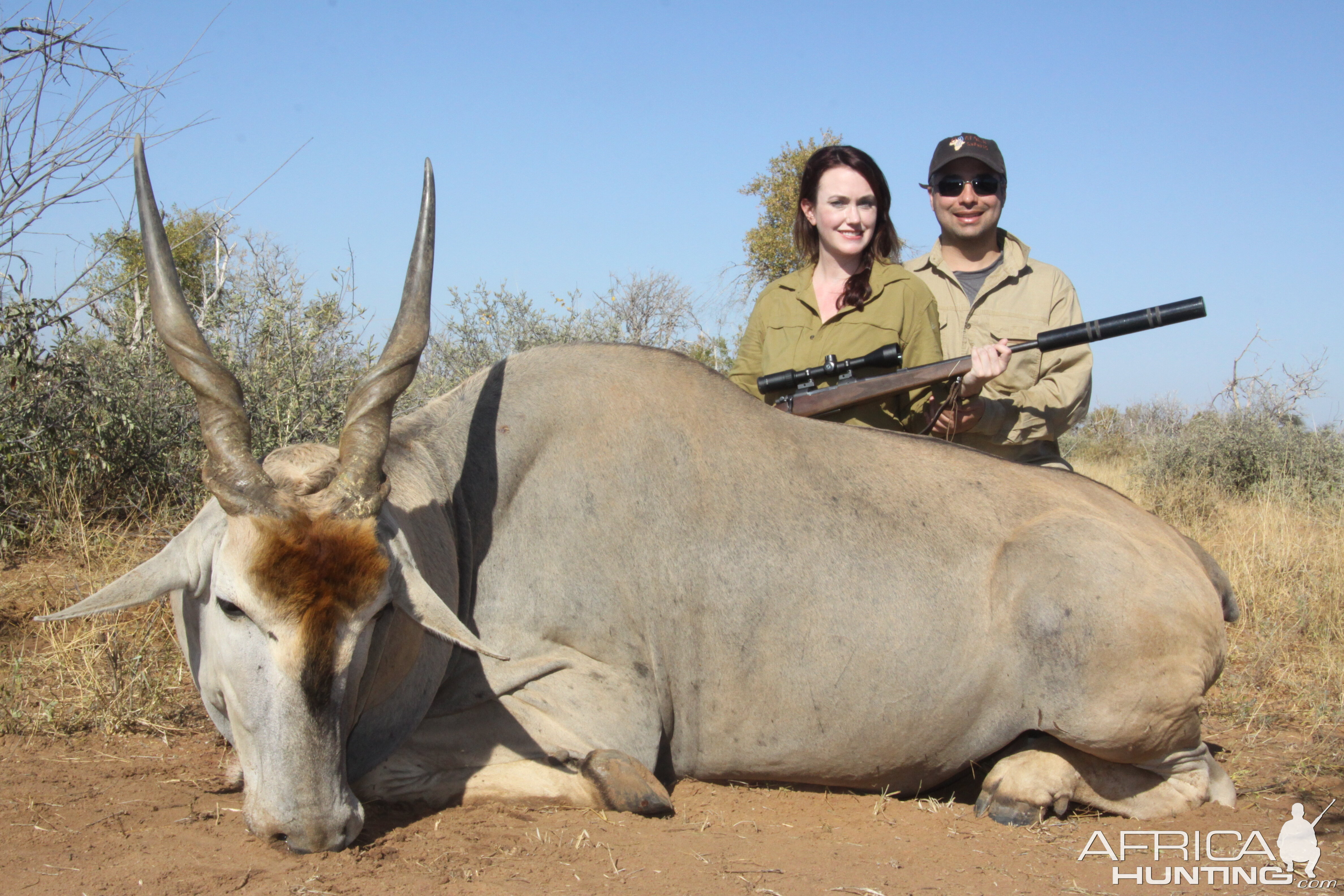 South Africa Hunting Eland