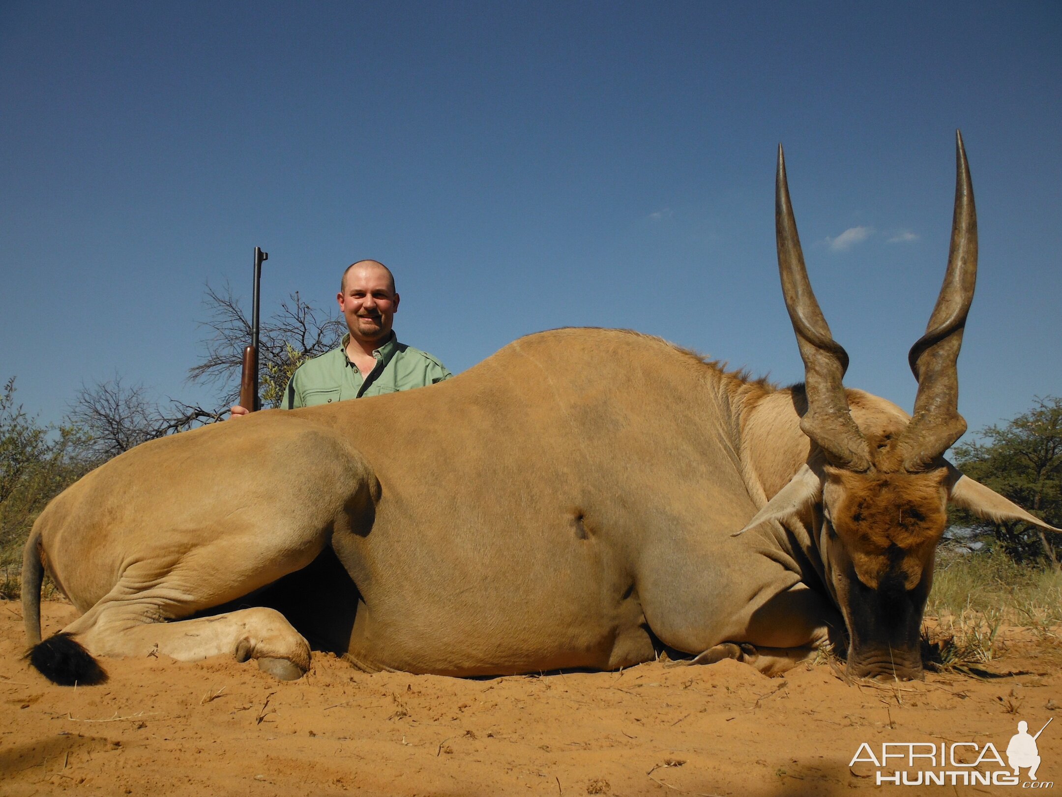 South Africa Hunting Eland