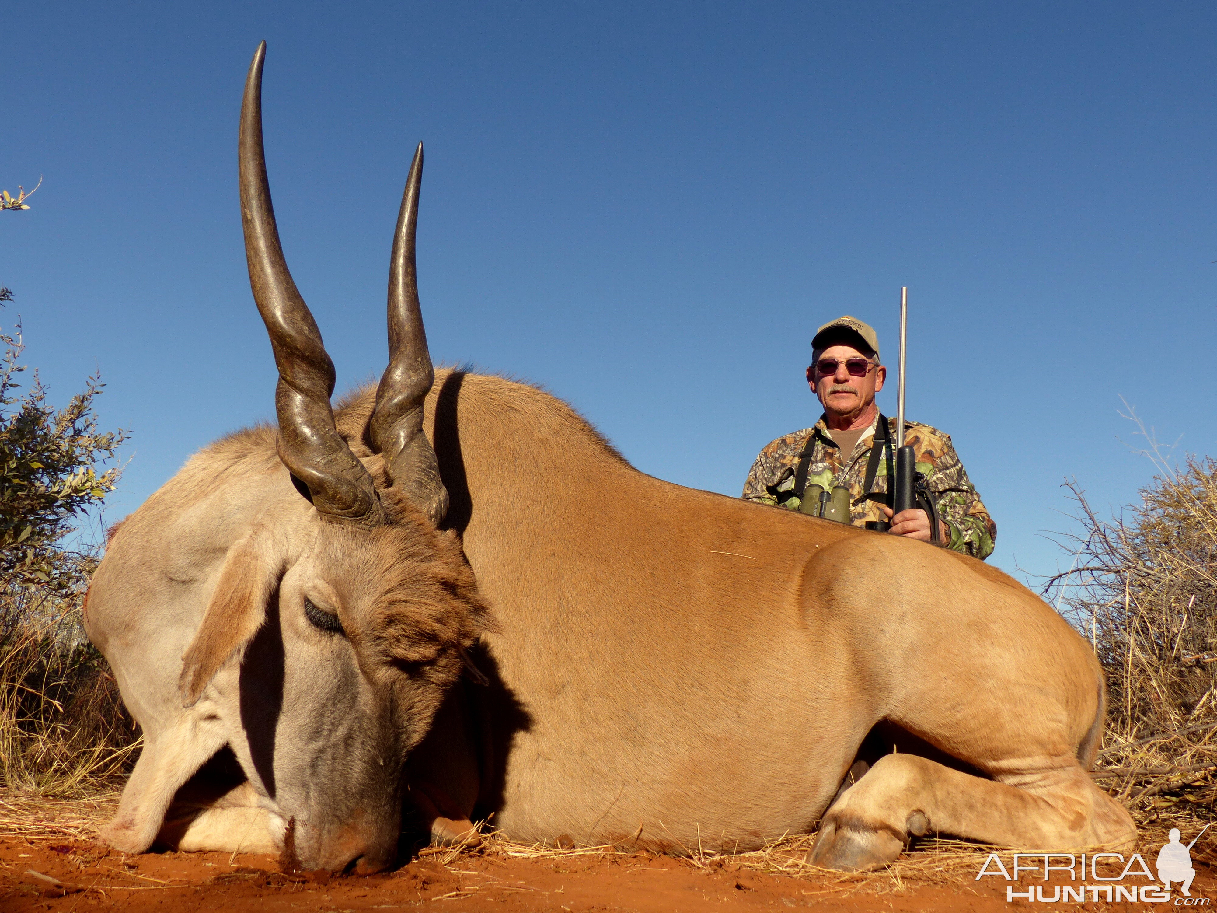 South Africa Hunting Eland