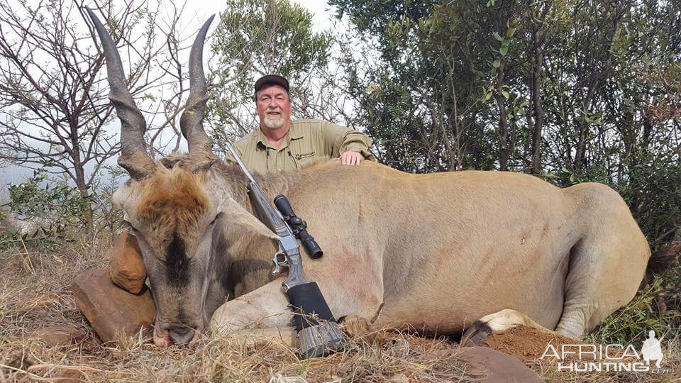 South Africa Hunting Eland