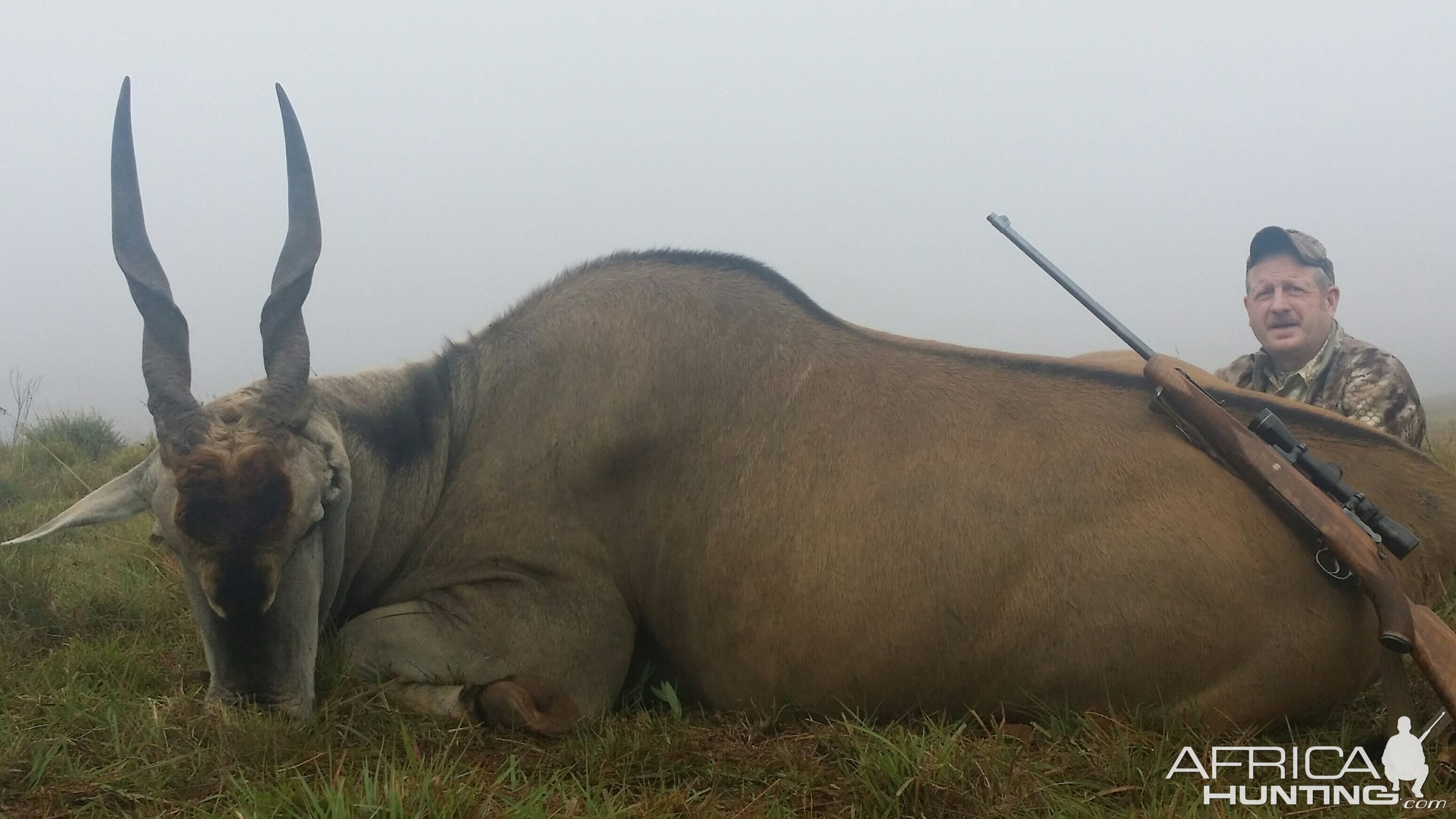 South Africa Hunting Eland