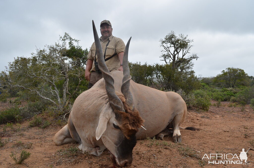 South Africa Hunting Eland