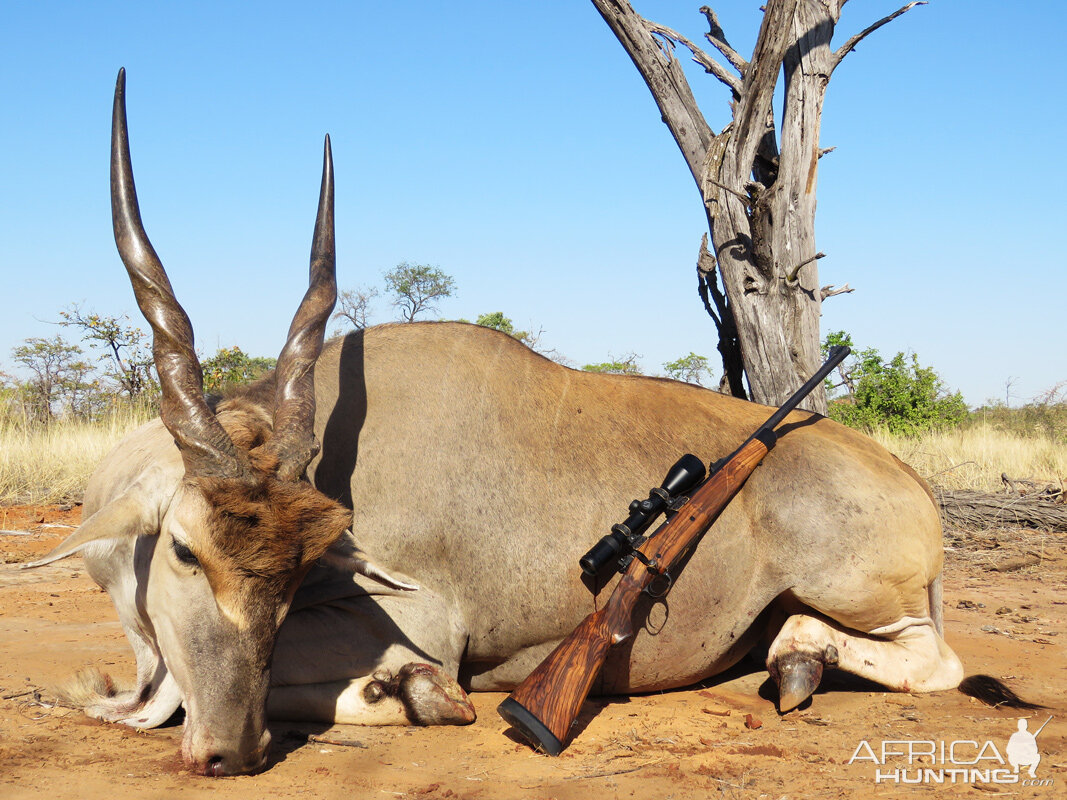 South Africa Hunting Eland