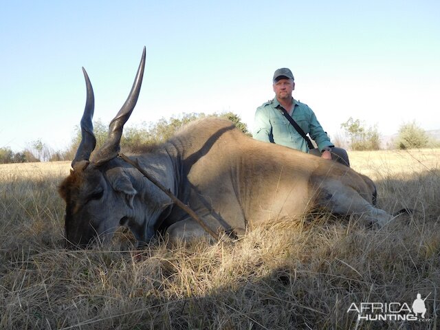 South Africa Hunting Eland