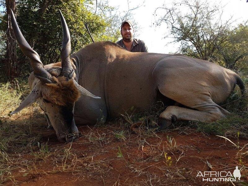 South Africa Hunting Eland