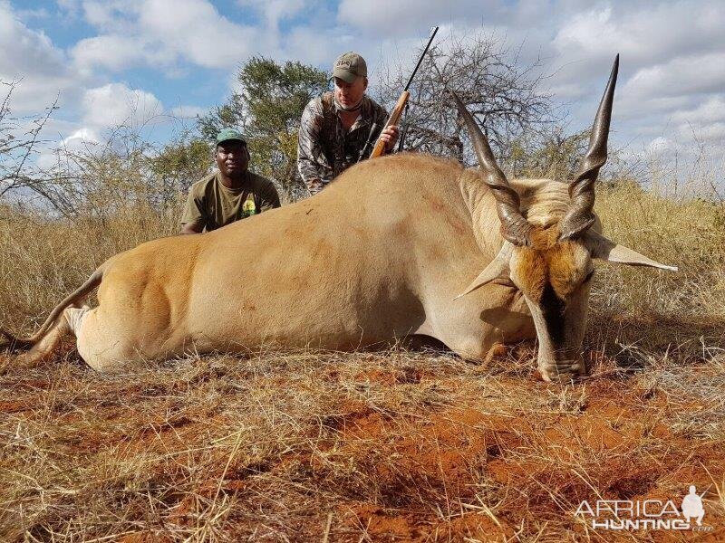 South Africa Hunting Eland