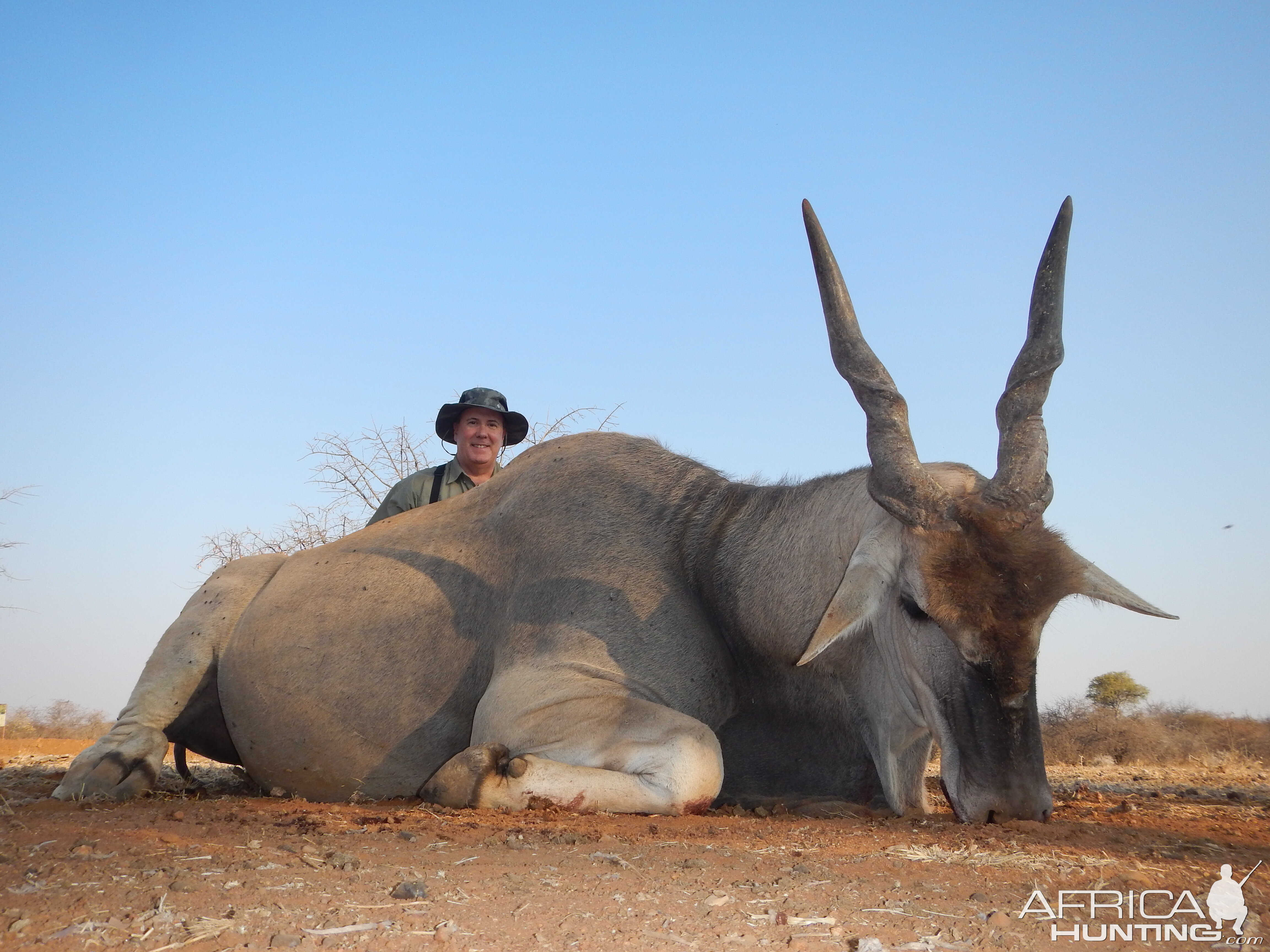 South Africa Hunting Eland