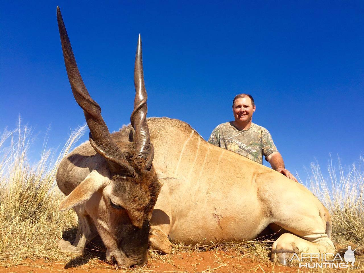 South Africa Hunting Eland