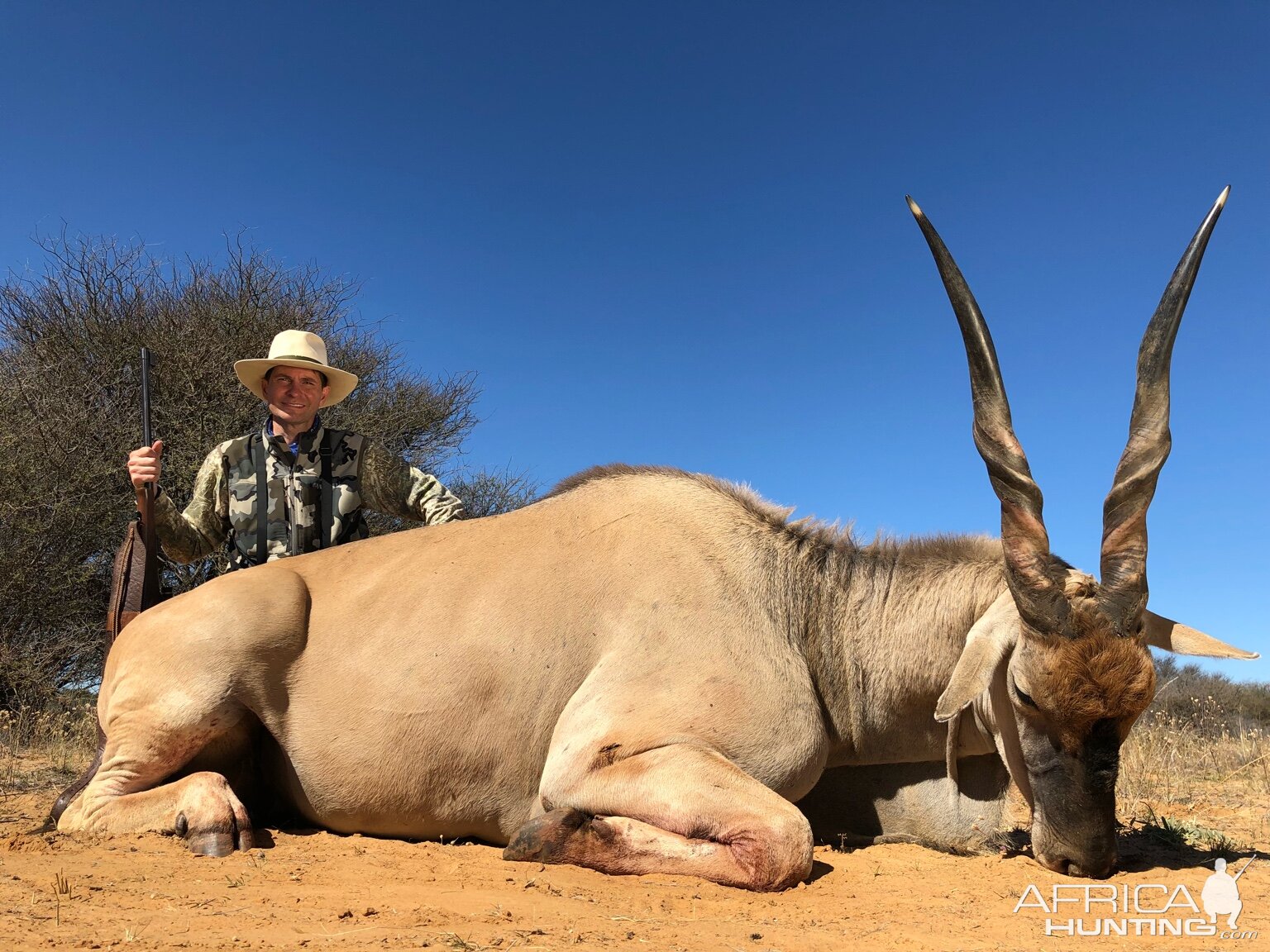 South Africa Hunting Eland