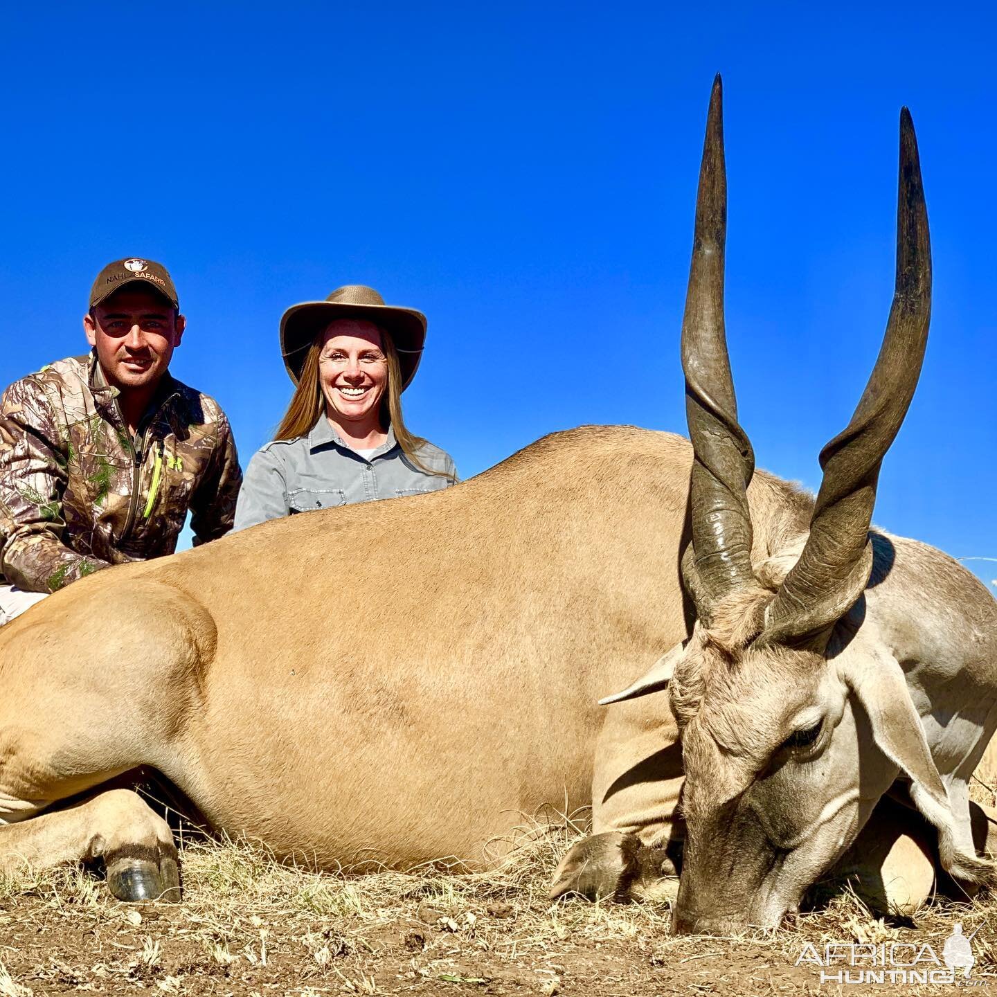 South Africa Hunting Eland