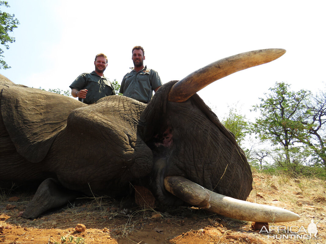 South Africa Hunting Elephant