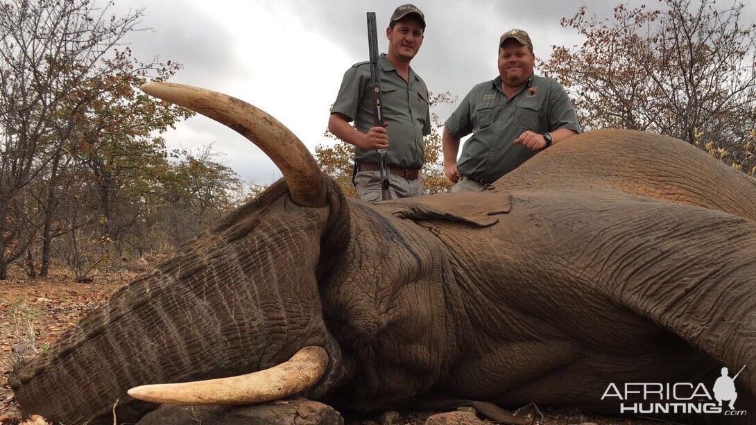 South Africa Hunting Elephant