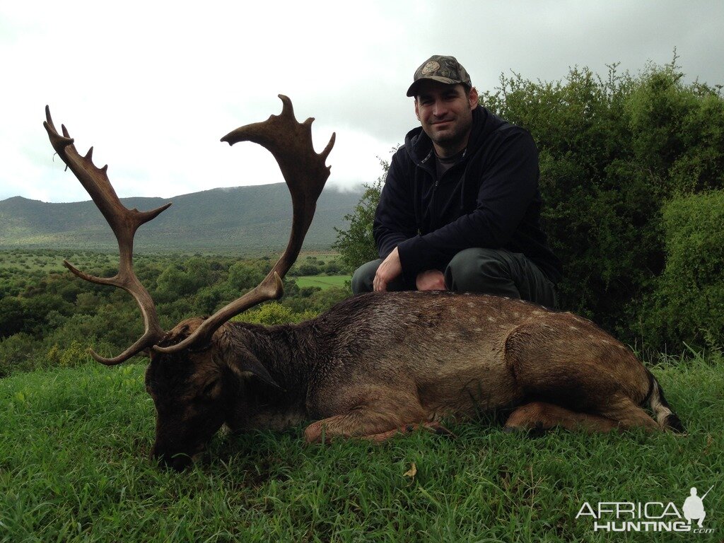 South Africa Hunting Fallow Deer