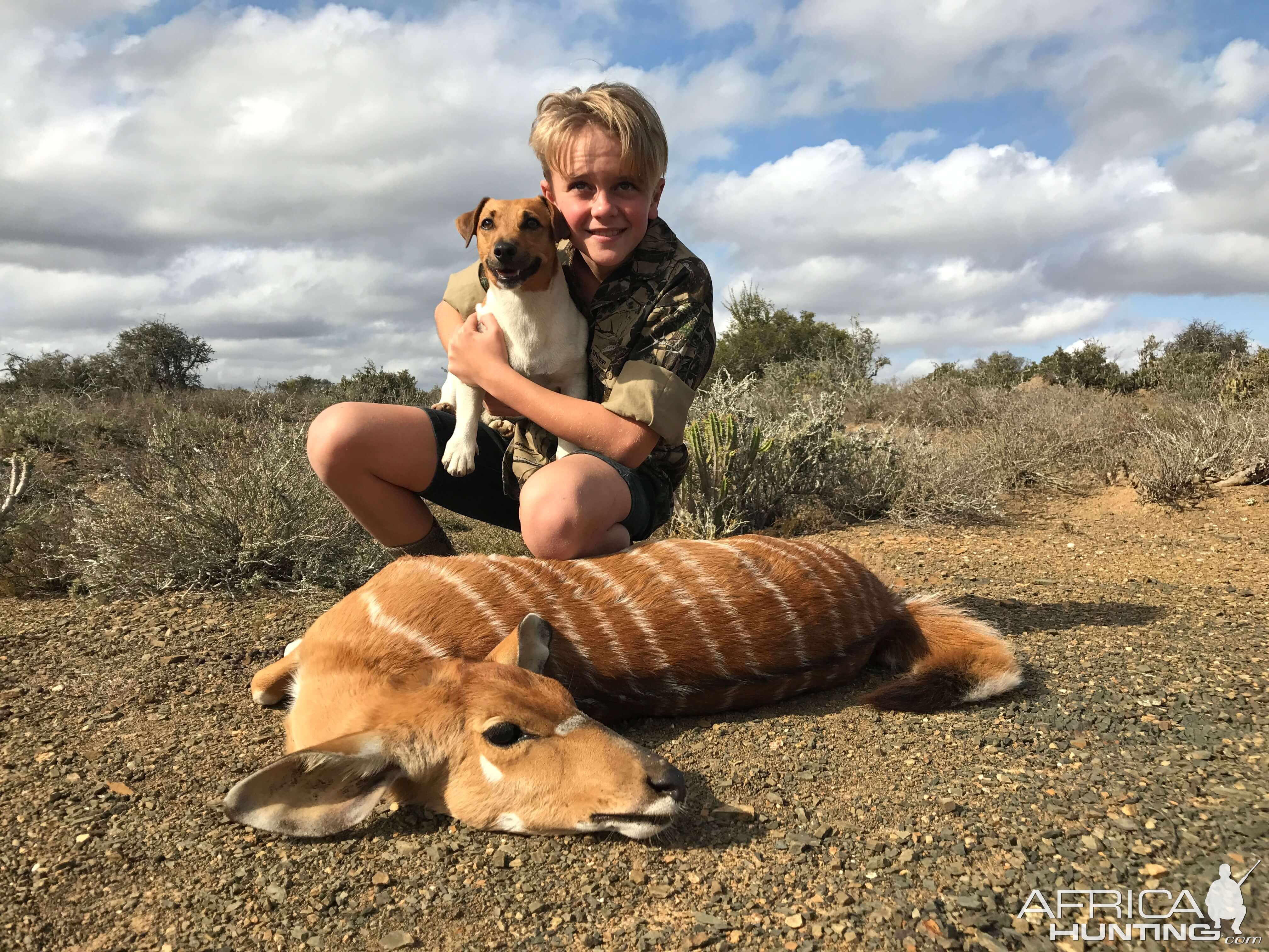 South Africa Hunting Female Nyala