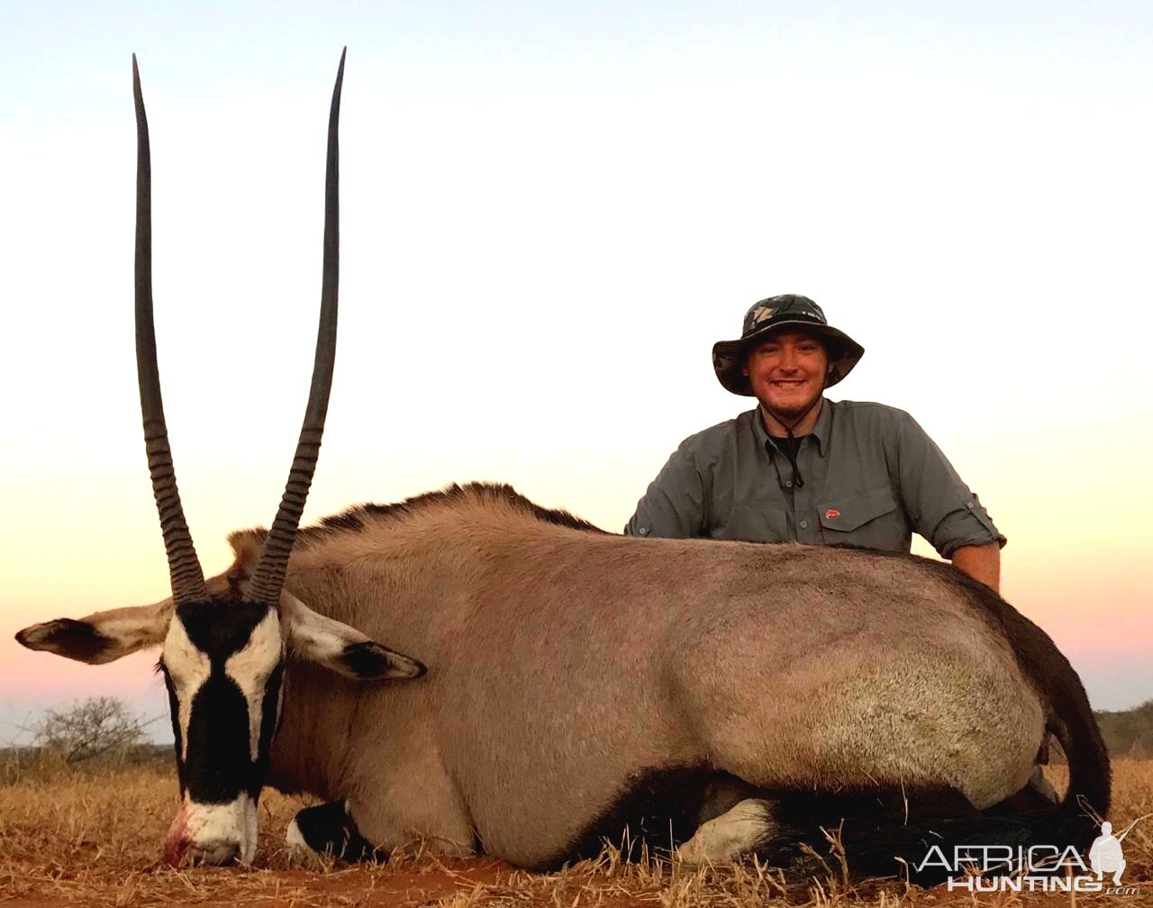 South Africa Hunting Gemsbok