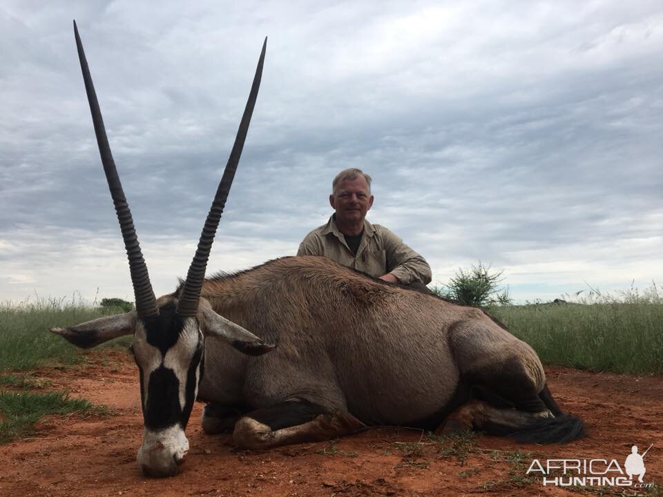 South Africa Hunting Gemsbok