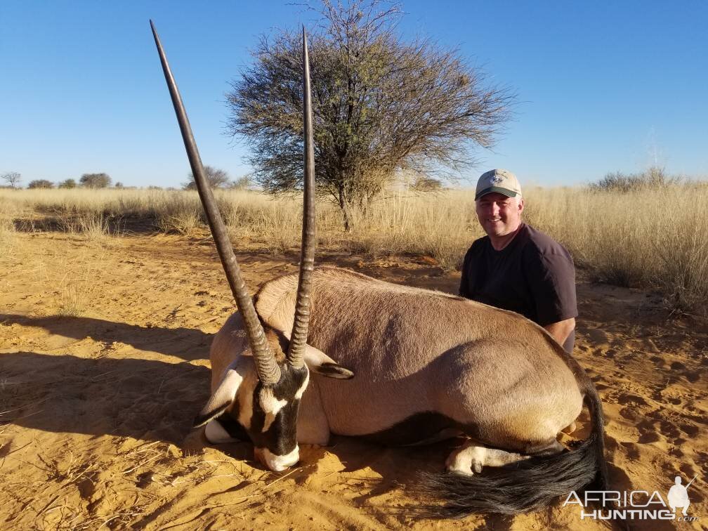 South Africa Hunting Gemsbok