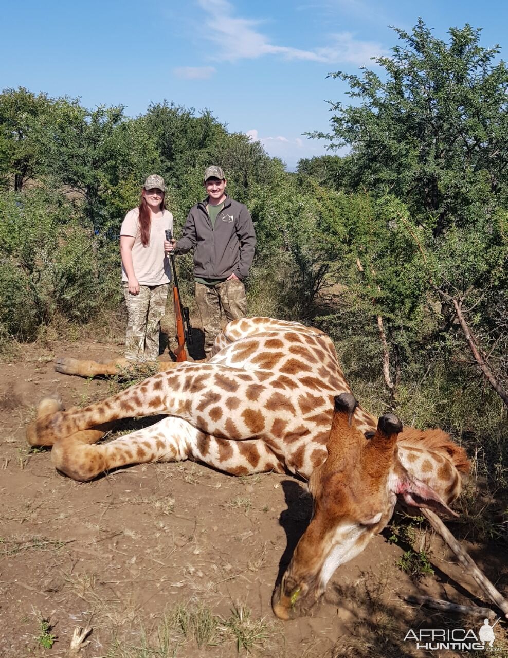 South Africa Hunting Giraffe