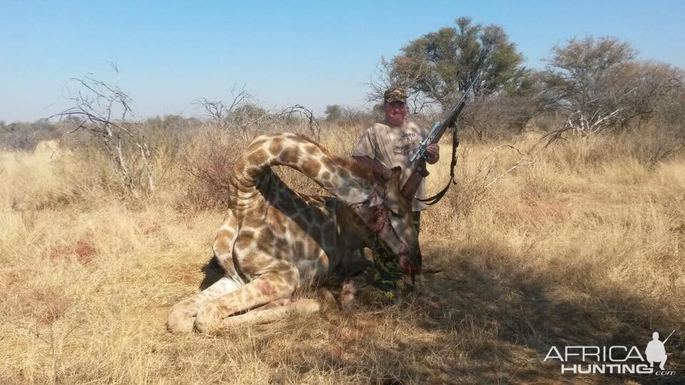 South Africa Hunting Giraffe