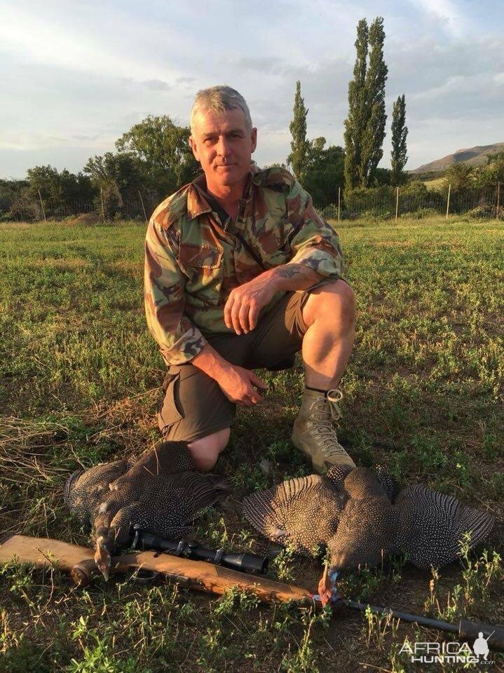 South Africa Hunting Guineafowl