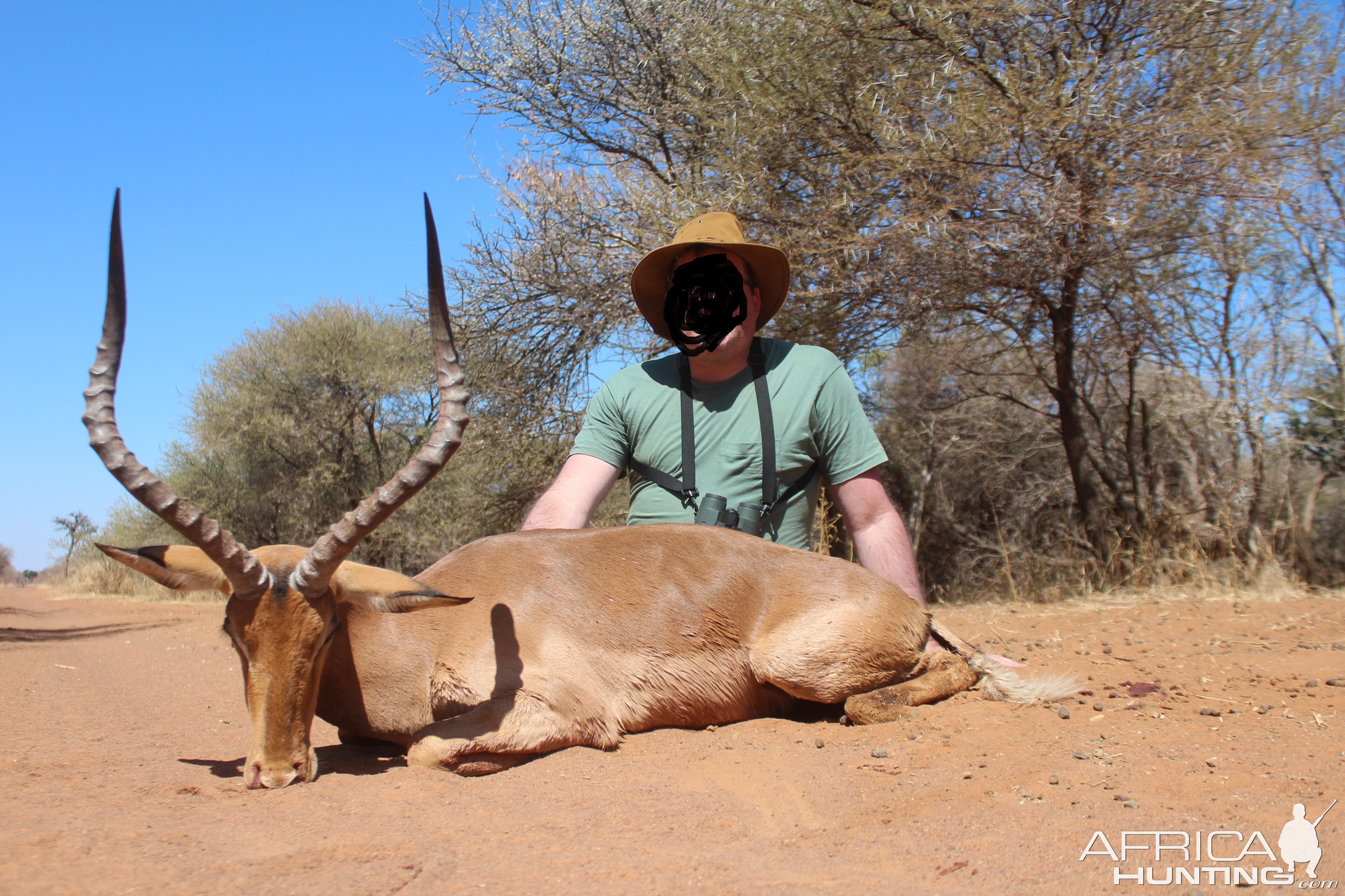 South Africa Hunting Impala