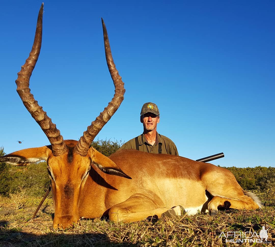 South Africa Hunting Impala