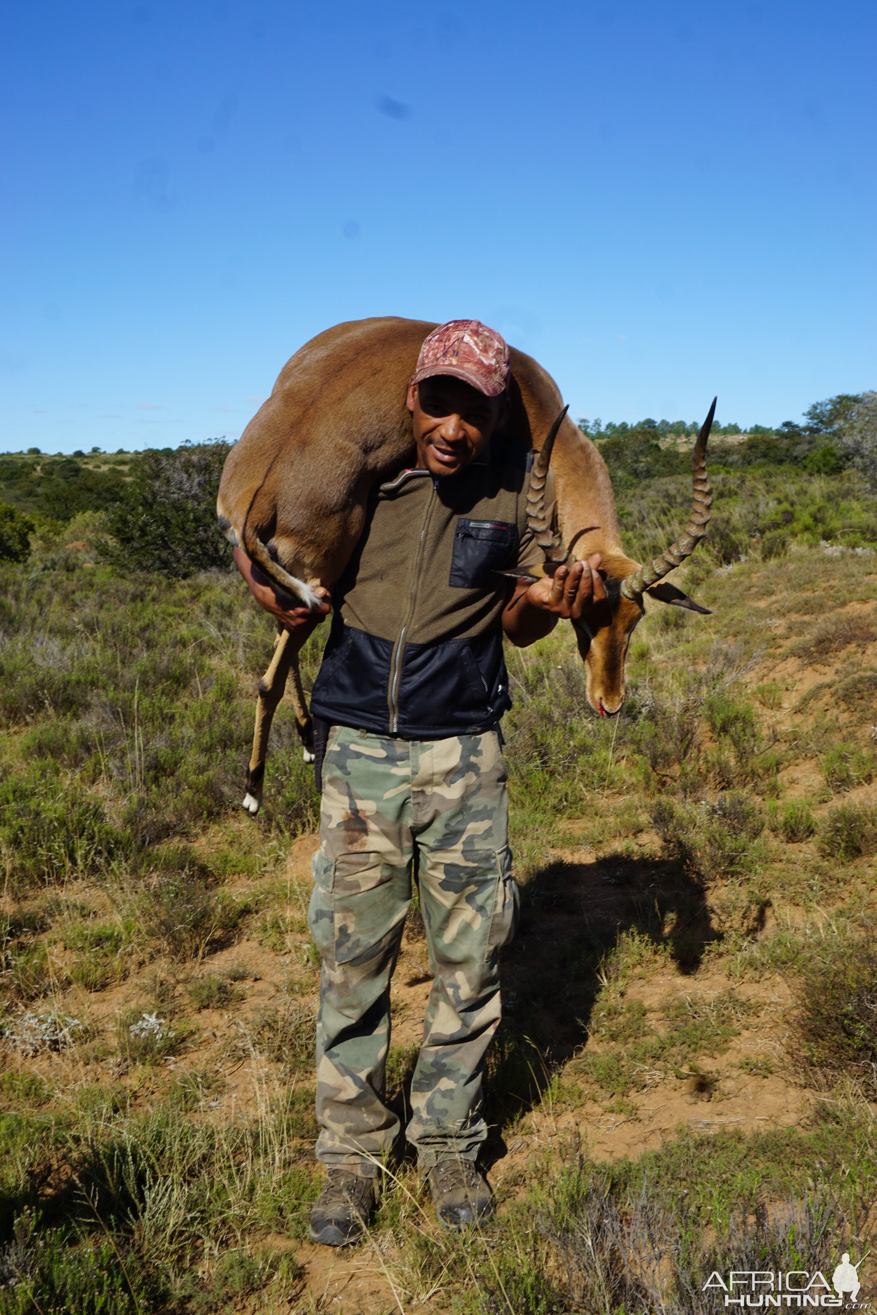 South Africa Hunting Impala