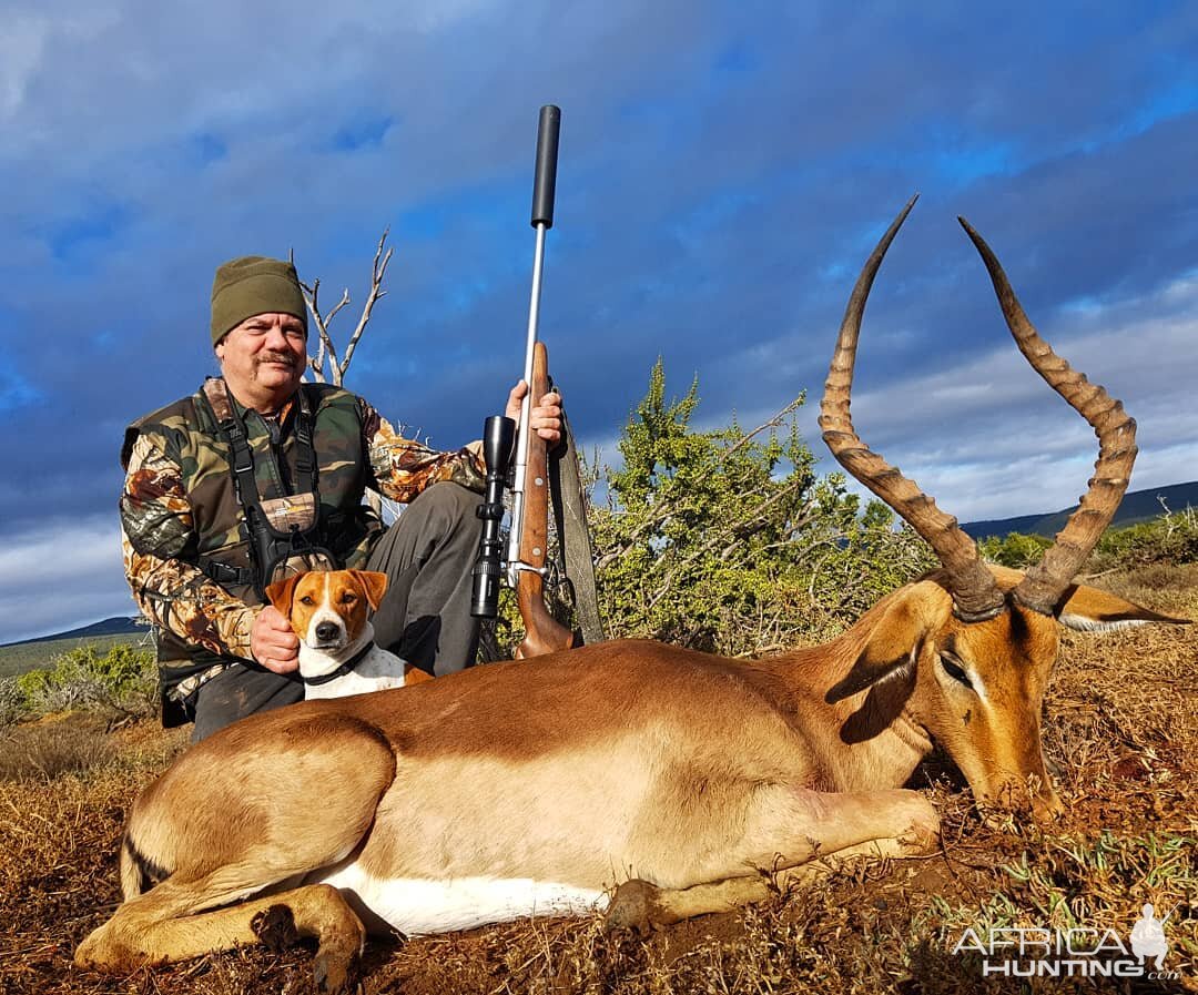 South Africa Hunting Impala