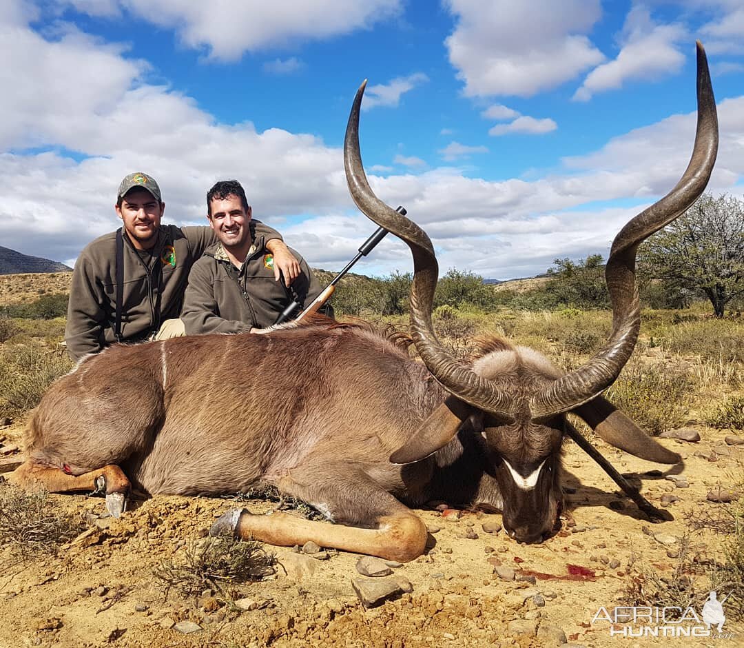 South Africa Hunting Kudu