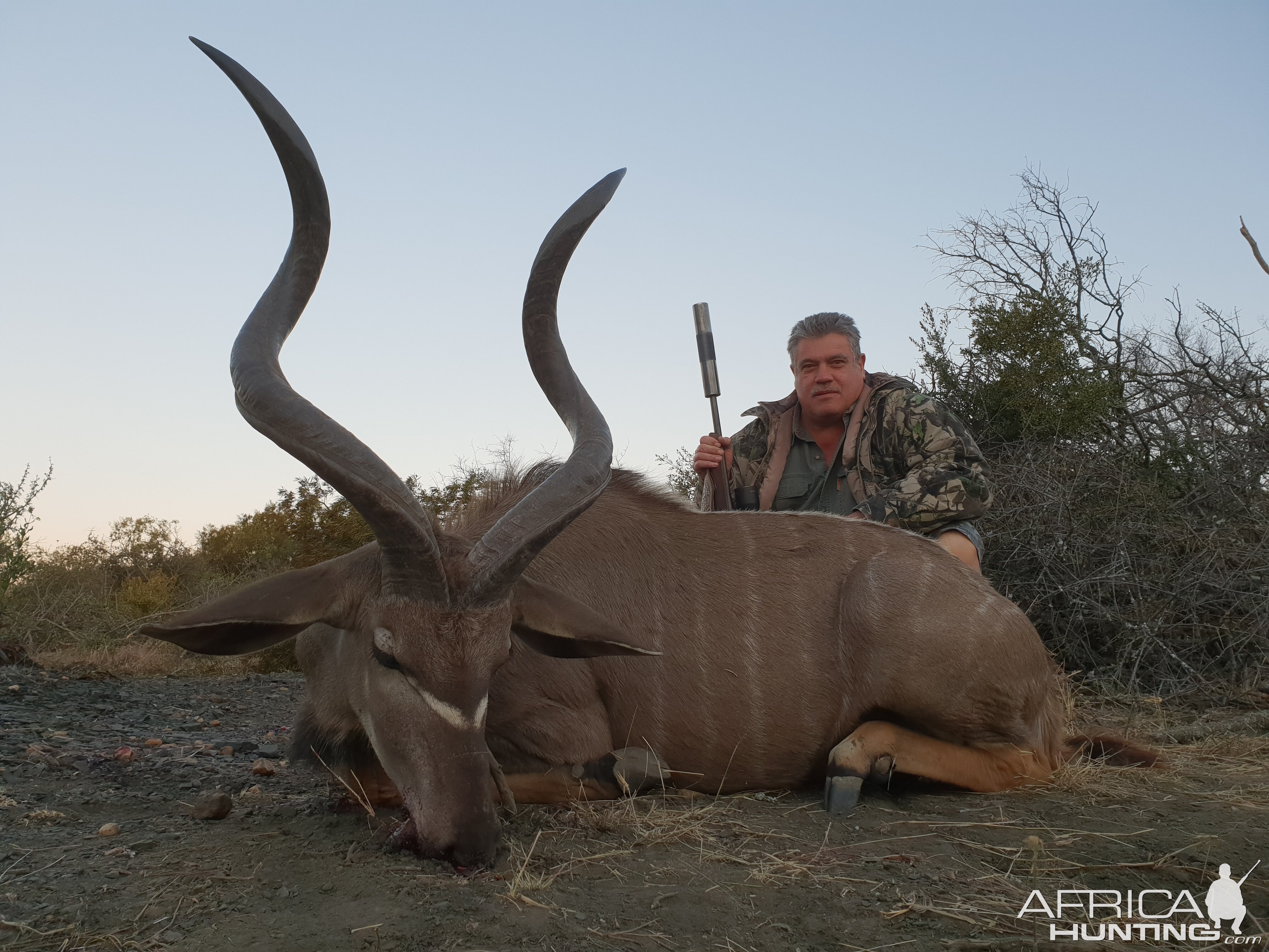 South Africa Hunting Kudu