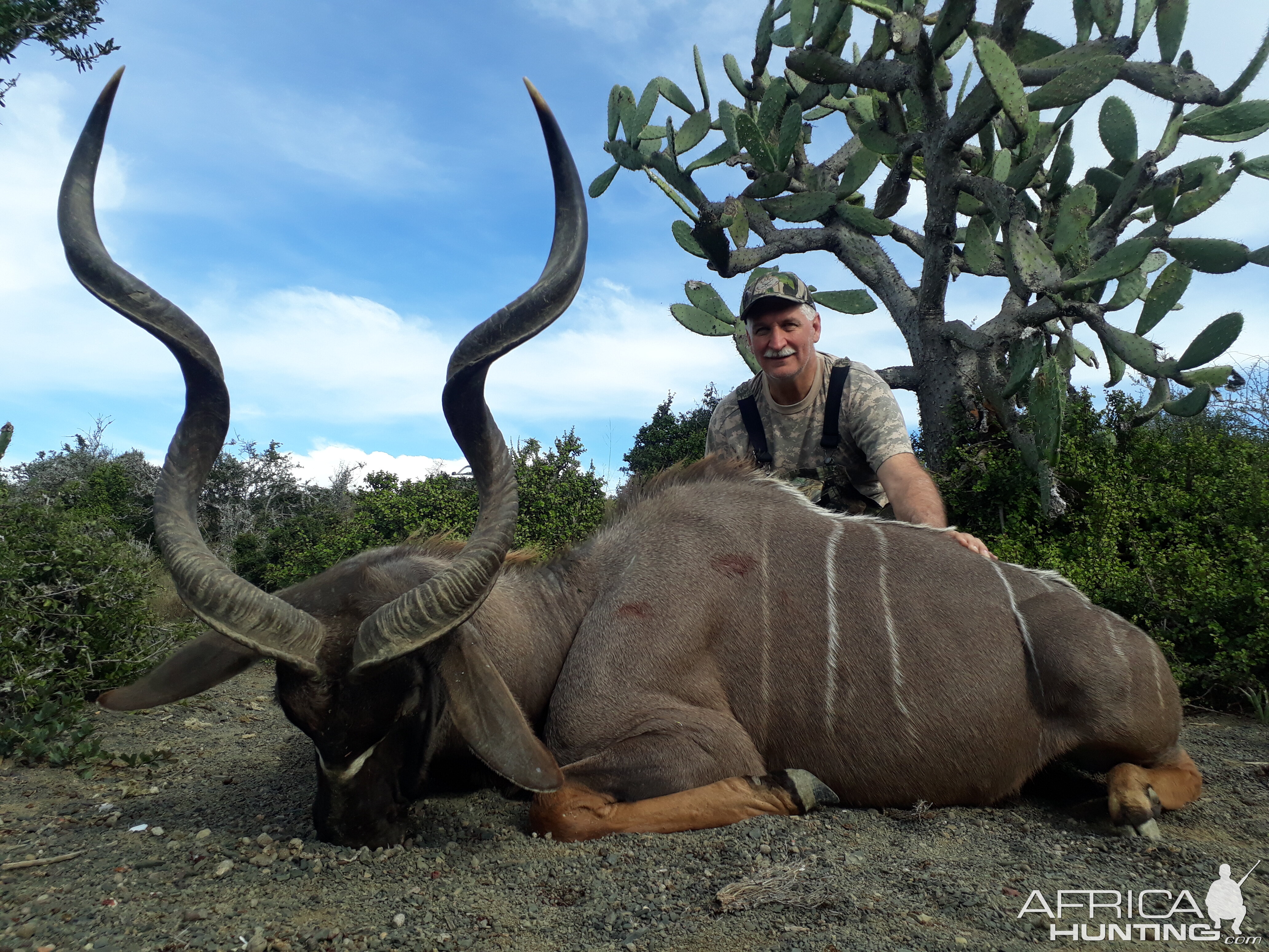 South Africa Hunting Kudu