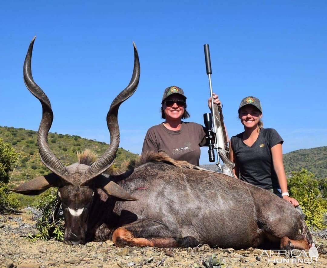 South Africa Hunting Kudu