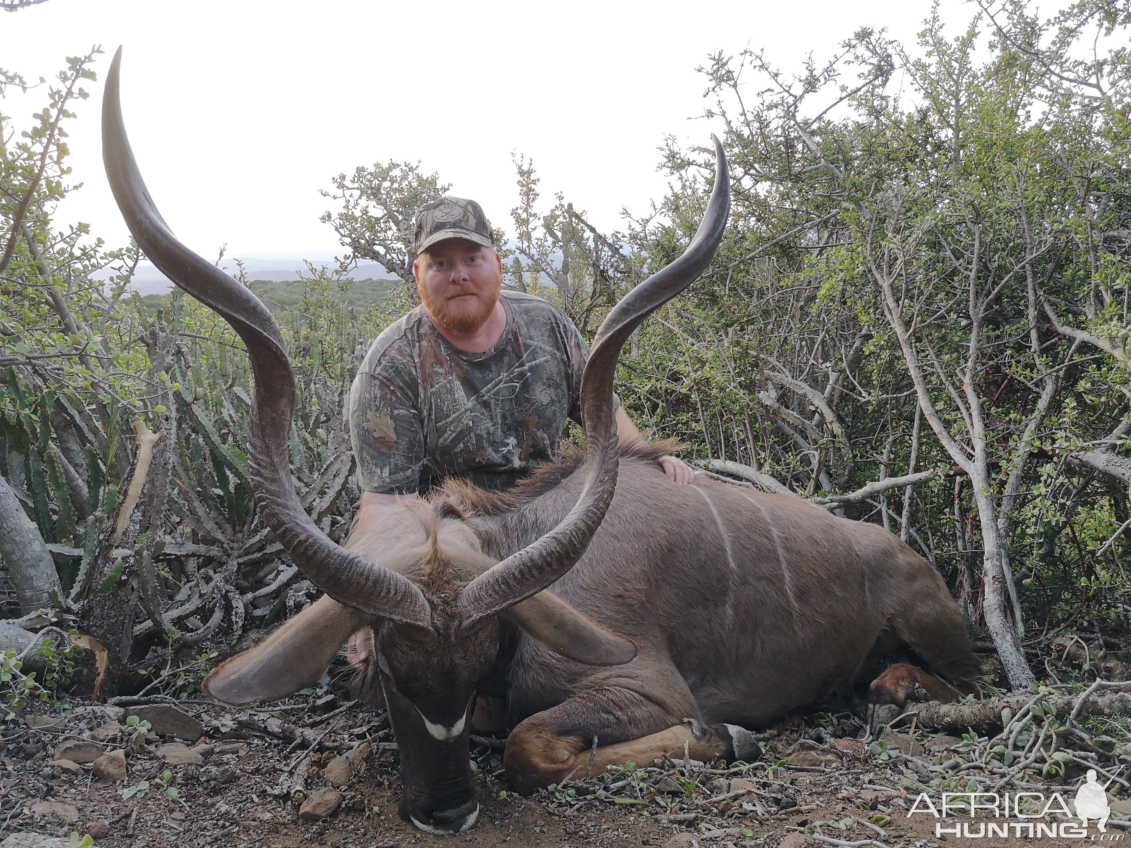 South Africa Hunting Kudu