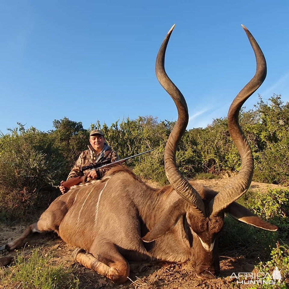 South Africa Hunting Kudu