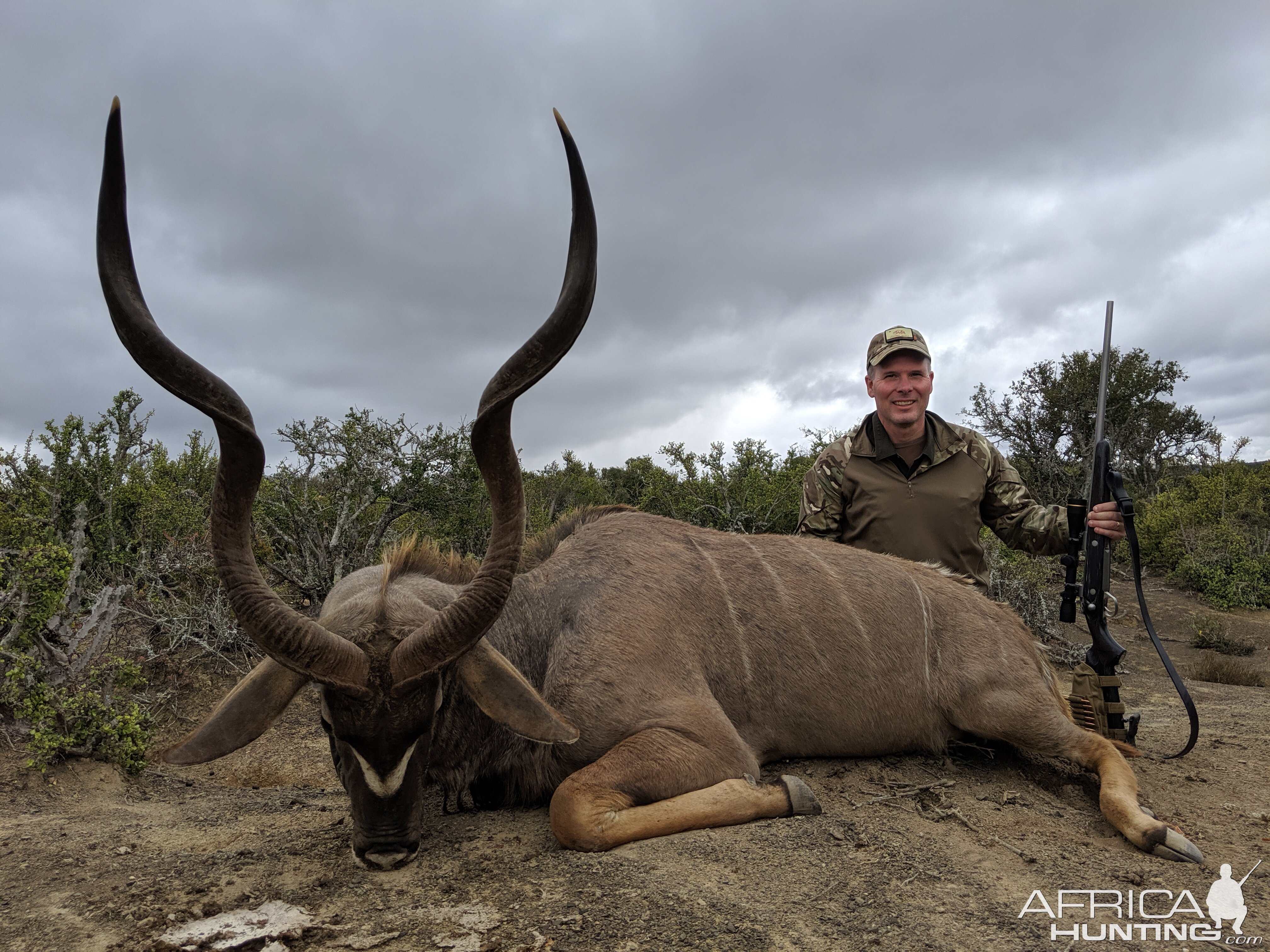 South Africa Hunting Kudu