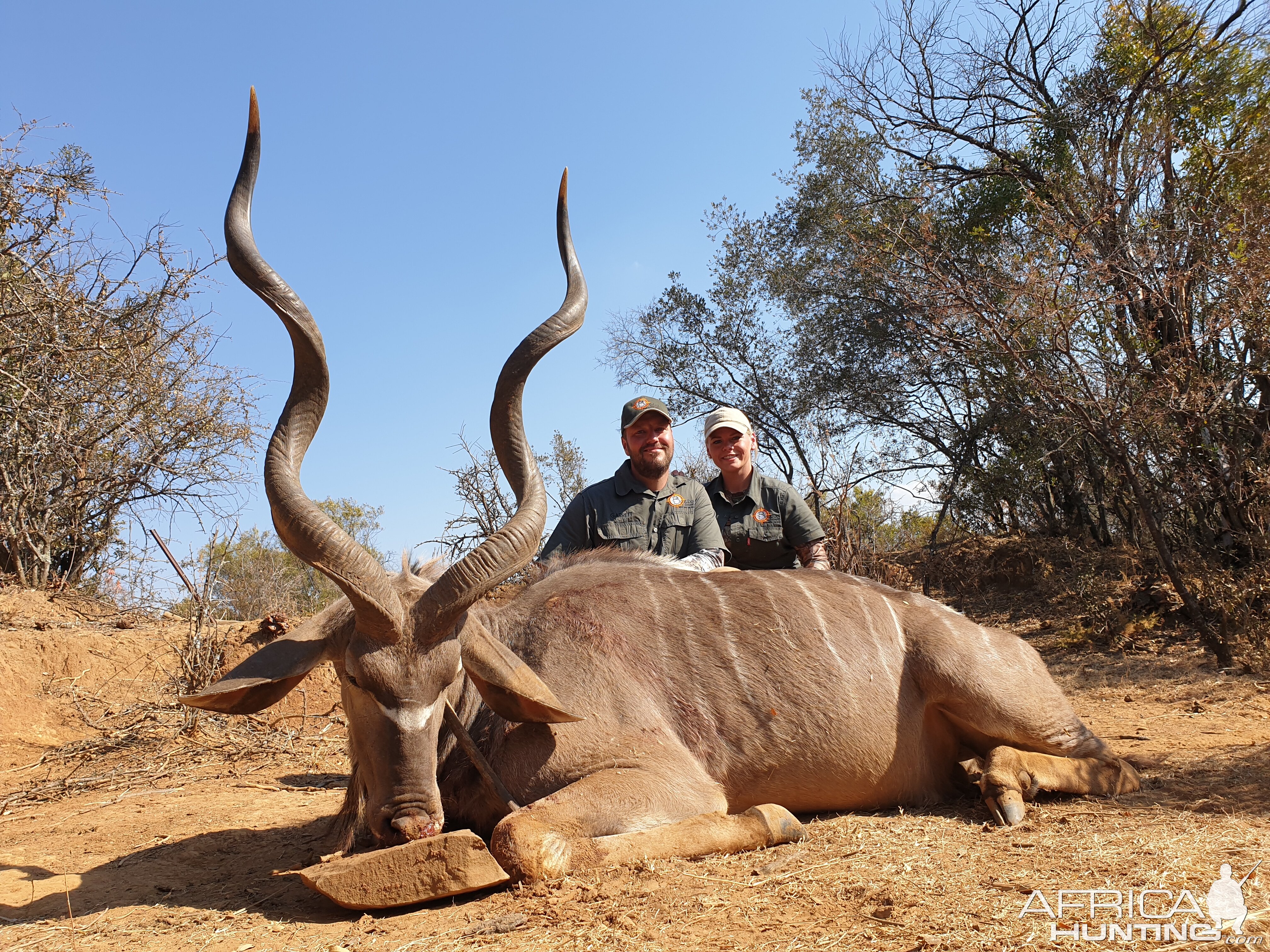 South Africa Hunting Kudu