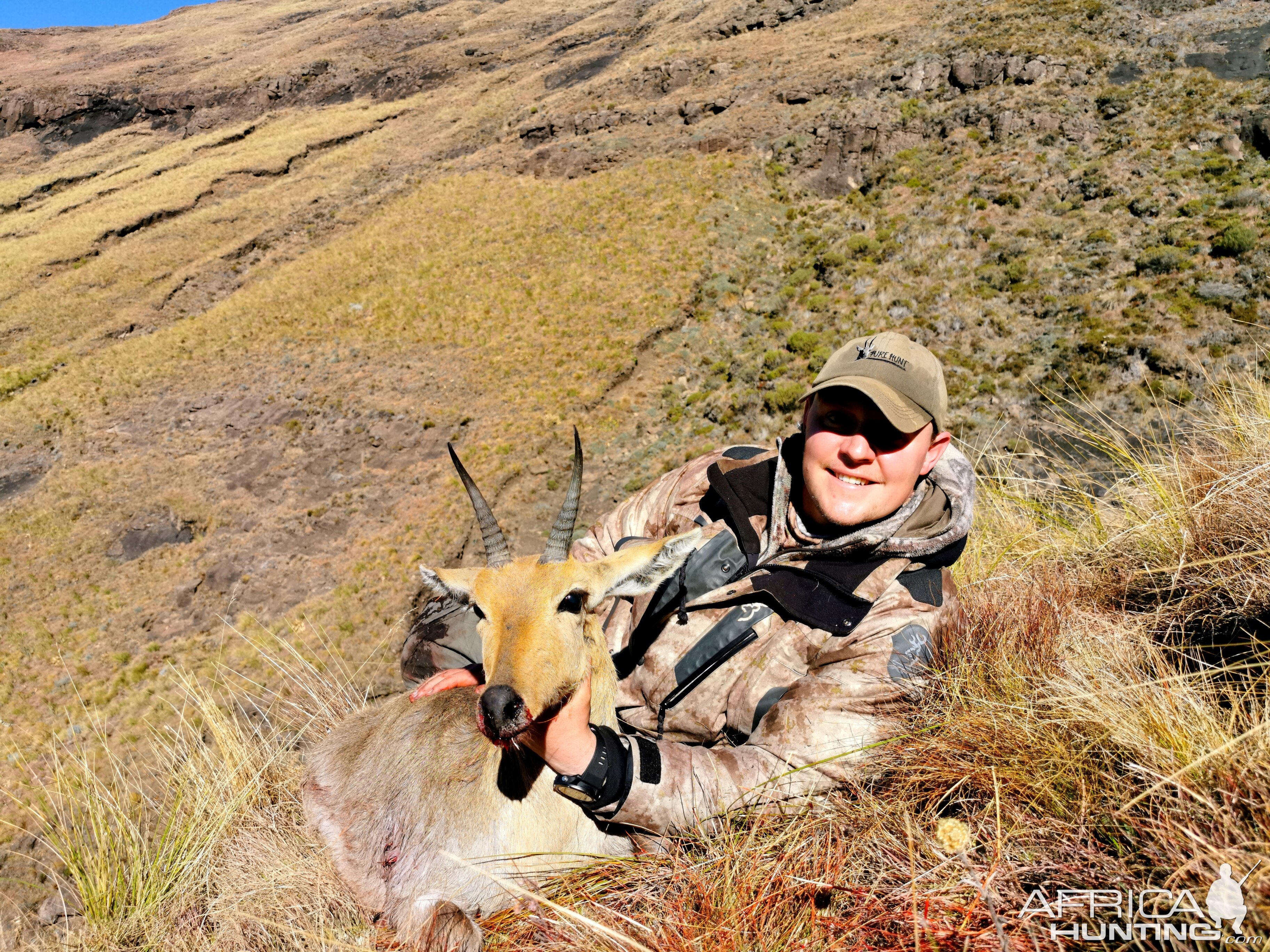 South Africa Hunting Mountain Reedbuck