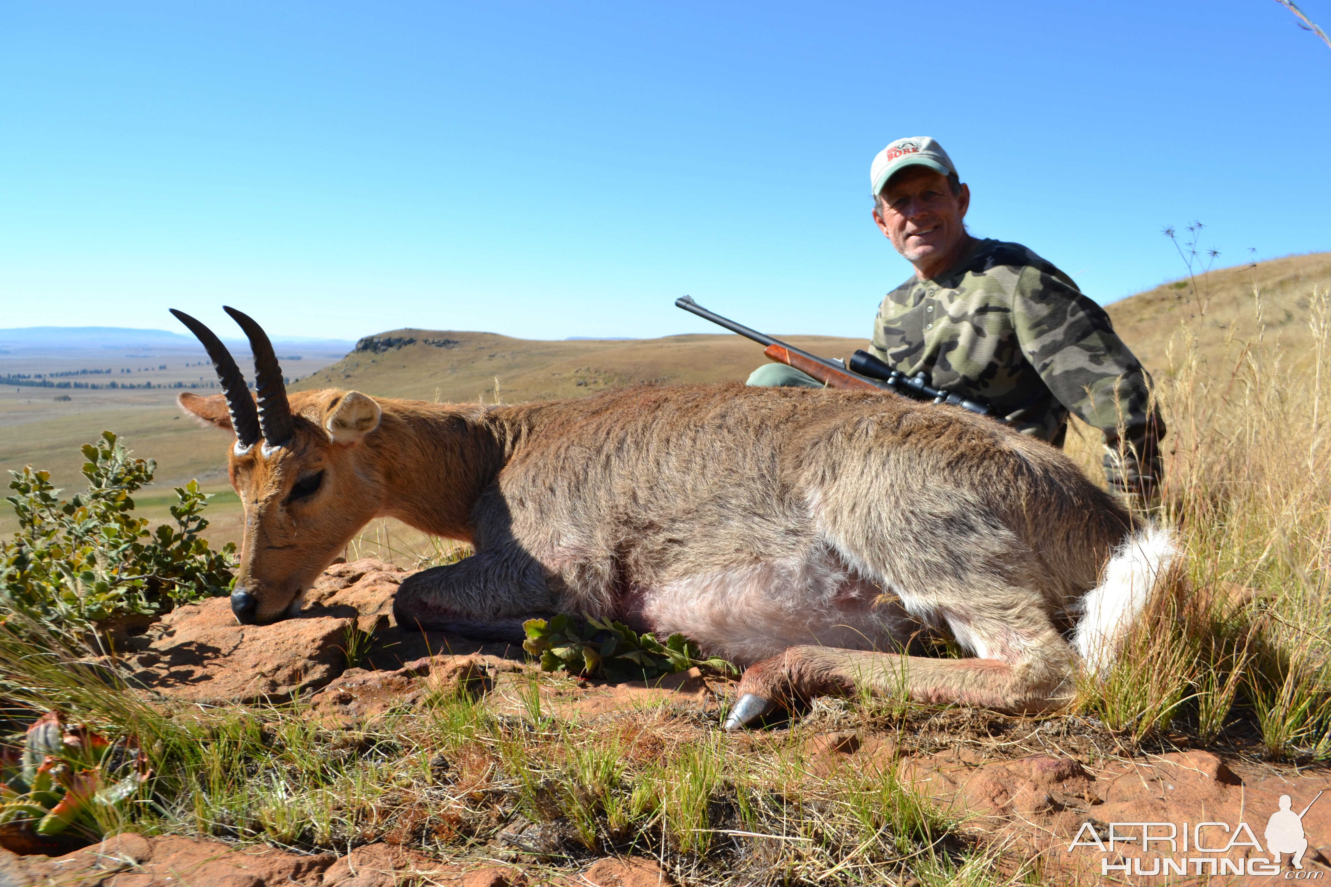 South Africa Hunting Mountain Reedbuck