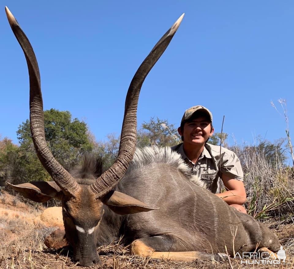 South Africa Hunting Nyala