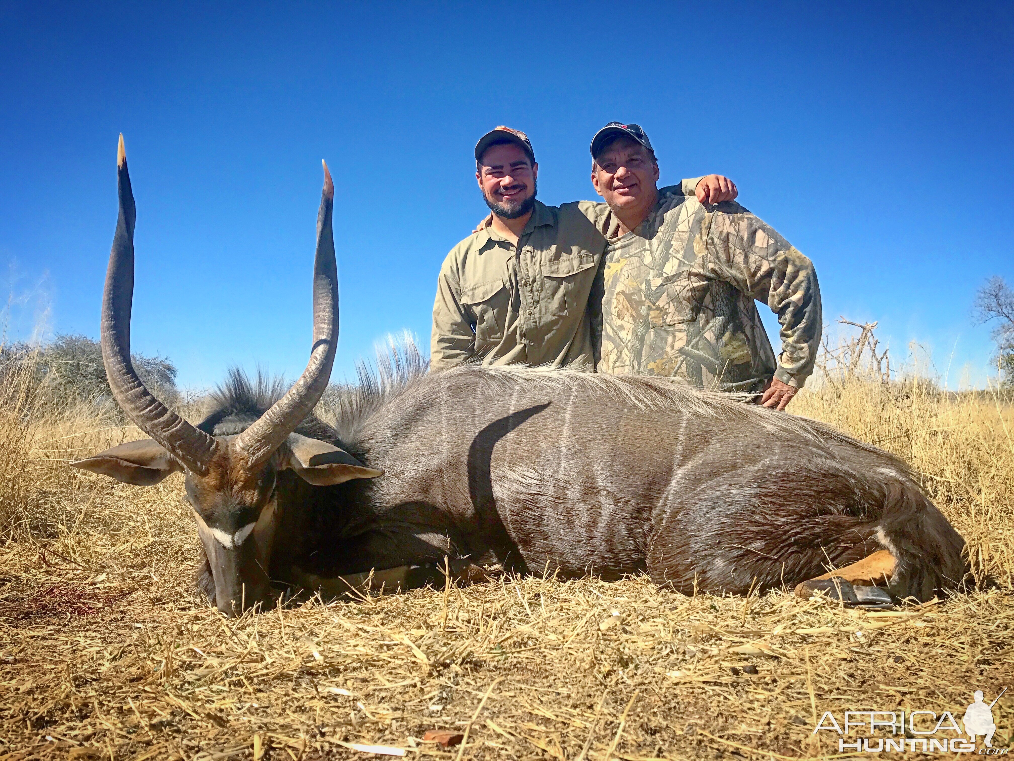 South Africa Hunting Nyala